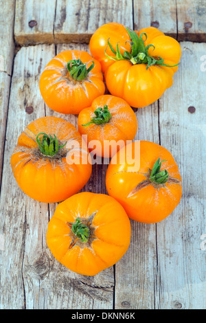 Erbe-Tomaten, "Sommer Apfelwein", Reife Früchte bereit für die Küche. Stockfoto