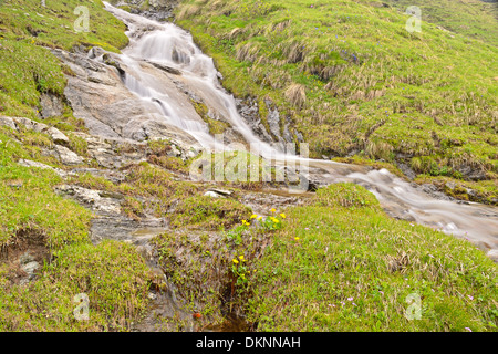 Kleinen Bach fließt unter Felsen und saftig grüne Wiesen, mit langsamen Verschlusszeit aufgenommen. Ort: Westalpen, Piemont, Italien Stockfoto