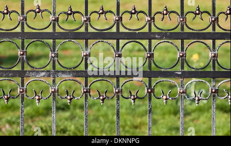 stilvolle Stahl / / Eisen Zaun über grünen Garten Stockfoto