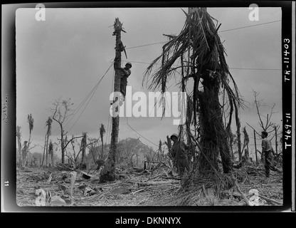 Installation von Telefonleitungen unter Beschuss auf Peleliu Marines. Im Hintergrund ist Teil der berühmten Bloody Nose Ridge gesehen... 520729 Stockfoto