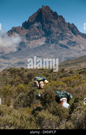 Eine Gruppe von Trägern, die Weitergabe durch das Moorland-Zone Rongai Route mit Mawenzi im Hintergrund Stockfoto