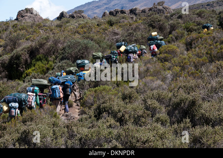 Eine Gruppe von Trägern, die Weitergabe durch das Moorland-Zone Rongai Route mit Mawenzi im Hintergrund Stockfoto