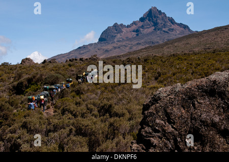 Eine Gruppe von Trägern, die Weitergabe durch das Moorland-Zone Rongai Route mit Mawenzi im Hintergrund Stockfoto