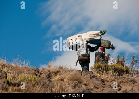 Eine Gruppe von Trägern der Moorland-Zone auf Rongai Route auf den Kilimanjaro auf der Durchreise Stockfoto