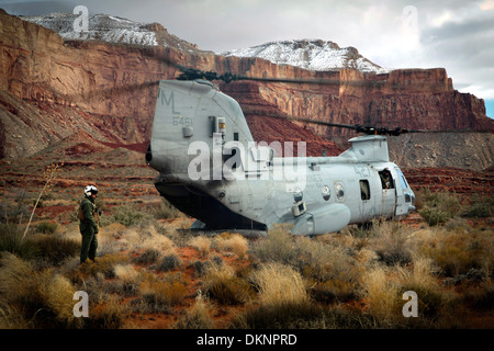 Ein US Marine Corps CH-46E Chinook-Hubschrauber sitzt in den Boden des Grand Canyon während Spielwaren für Tots Vorgang Havasupai liefern Santa Claus und Spielzeug für Kinder des Stammes Havasupai Indian 14. Dezember 2011 in Supai, AZ. Stockfoto