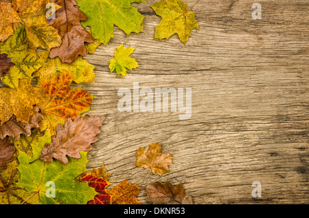 Rustikale Holz Hintergrund mit bunten Herbstlaub Stockfoto