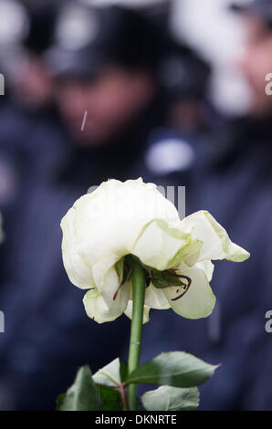 Kiew, Ukraine. 7. Dezember 2013. Blumen sind von Demonstranten vor dem Parlament der Ukraine durch Polizisten und Miliz am 7. Dezember 2013 in Kiew, Ukraine verteidigt links. Bildnachweis: Jonatha Borzicchi Redaktion/Alamy Live-Nachrichten Stockfoto