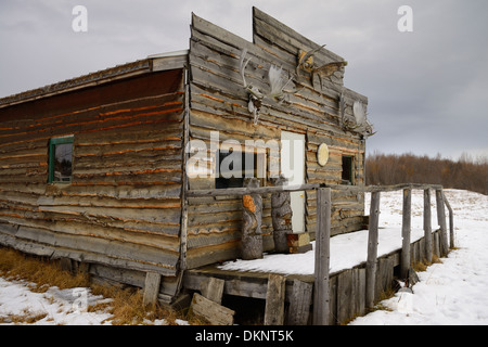 Holz-Hütte mit Elch Geweih in Coldfoot Alaska USA auf dem Dalton Highway im Herbst Stockfoto