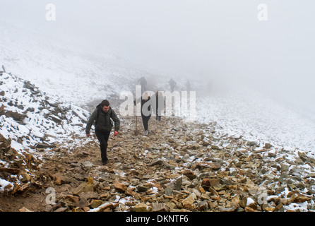 Wanderer Klettern Croagh Patrick im Nebel Mayo, Irland Stockfoto