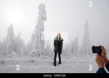 Junge Frau auf einem Snowbank fotografiert mit Schnee bedeckt Bäume im Morgennebel auf dem Dalton Highway Alaska USA Stockfoto