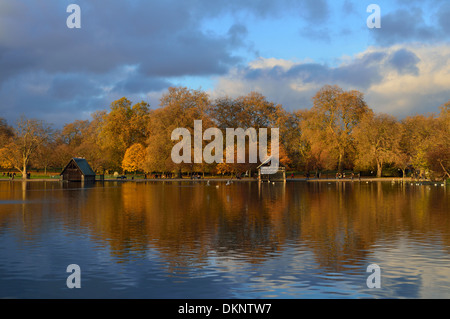 Serpentine im Herbst, Hyde Park, West London, Vereinigtes Königreich Stockfoto