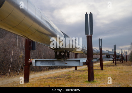 Alyeska erhöhten Trans-Alaska-Öl-Pipeline-System mit passiver Kühlung Spalten in der Nähe von Fairbanks Alaska USA Stockfoto