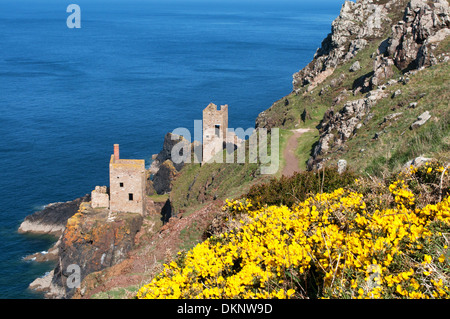 Die Kronen-Engine Häuser am Botallack in Cornwall, Großbritannien Stockfoto