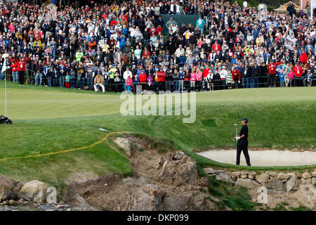 Thousand Oaks, CA, USA. 8. Dezember 2013. Tiger Woods schlägt aus einem Bunker auf der Playoff-Loch während der Endrunde der nordwestlichen gegenseitige World Challenge im Sherwood Country Club in Thousand Oaks, Kalifornien. Charles Baus/CSM/Alamy Live-Nachrichten Stockfoto