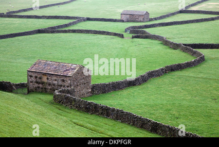 Stein Häuser und Mauern in grünen Feldern Stockfoto