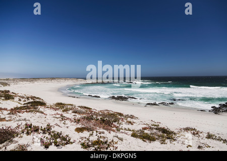 Wellen, die sich am Sandstrand Stockfoto