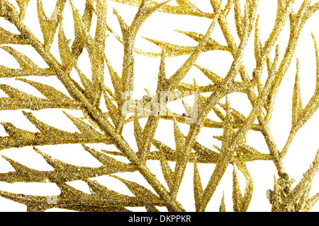 Bild von einem gold separaten Zweig hautnah. Auf weißem Hintergrund. Stockfoto