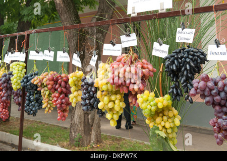 Verschiedene Sorten von Trauben auf dem Display während Independence Day Feierlichkeiten in Tiraspol, Hauptstadt von Transnistrien. Stockfoto