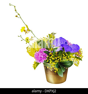 Strauß aus Orchideen in dunkler Vase isoliert auf weißem Hintergrund. Closeup. Stockfoto