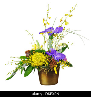 Strauß aus Orchideen in dunkler Vase isoliert auf weißem Hintergrund. Closeup. Stockfoto