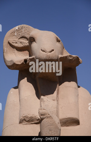 Avenue des Rams @ Karnak-Tempel-Rams-Kopf Stockfoto