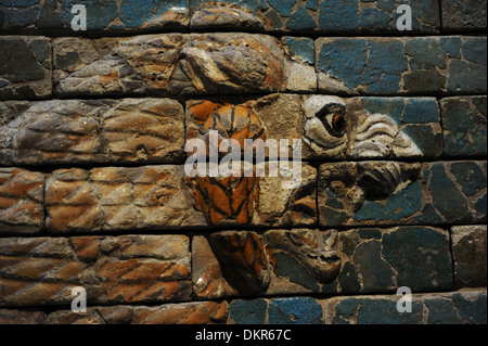 Löwe von Babylon. Löwen verziert die Prozessionsstraße Wand (Ischtar-Tor). 575 V. CHR.. Detail. Pergamon-Museum. Berlin. Deutschland. Stockfoto