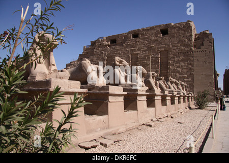 Avenue des Rams @ Karnak-Tempel Stockfoto
