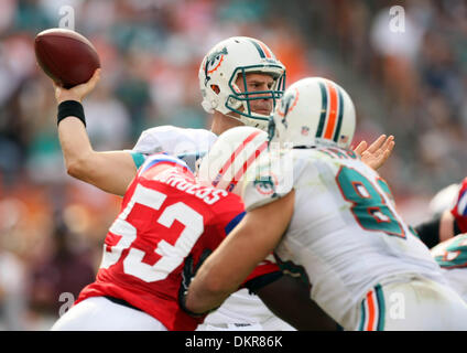 6. Dezember 2009 - Miami Gardens, FL - Florida, USA - Vereinigte Staaten - 120609 (Allen Eyestone/The Palm Beach Post) MIAMI GARDENS, FL Land Shark-Stadion. New England Patriots Miami Delphine... Delphine quarterback Chad Henne Tropfen zurück für einen Pass, wie er von Patrioten #53 Derrick Burgess unter Druck gesetzt wird. (Kredit-Bild: © Palm Beach-Post/ZUMApress.com) Stockfoto