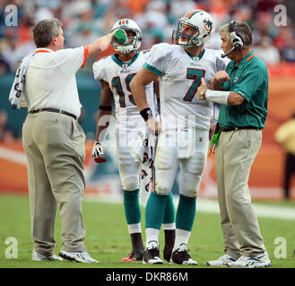 6. Dezember 2009 - Miami Gardens, FL - Florida, USA - Vereinigte Staaten - 120609 (Allen Eyestone/The Palm Beach Post) MIAMI GARDENS, FL Land Shark-Stadion. New England Patriots Miami Delphine... Delphine quarterback Chad Henne Gespräche mit offensive Coordinator Dan Henning. (Kredit-Bild: © Palm Beach-Post/ZUMApress.com) Stockfoto