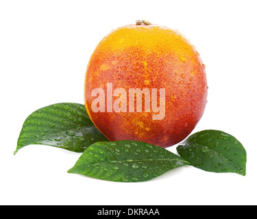 Reife rote Blutorangen mit grünen Blättern, die isoliert auf weißem Hintergrund. Closeup. Stockfoto