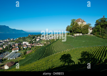 Clarens Landschaft Landschaft Weinberg Weinberge Stadt Haus Heimat Städtebau Landschaft Landschaft Château du Châtelard Burg Waadt Stockfoto