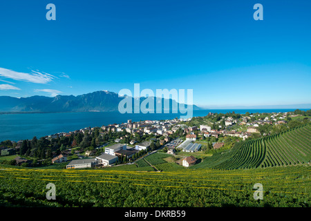 Clarens Landschaft Landschaft Weinberg Weinberge Stadt Haus Heimat Städtebau Landschaft Landschaft Château du Châtelard Burg Waadt Stockfoto