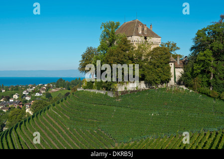 Clarens Landschaft Landschaft Weinberg Weinberge Stadt Haus Heimat Städtebau Landschaft Landschaft Château du Châtelard Burg Waadt Stockfoto