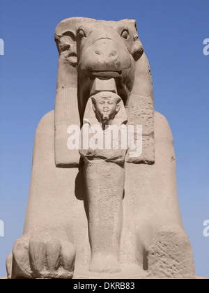 frontale Aufnahme einer Widderköpfige Sphinx Stein in Ägypten Stockfoto