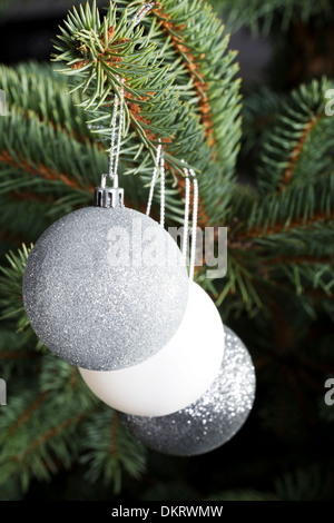 Drei Weihnachtskugeln hängen an einem Zweig. Auf schwarzem Hintergrund. Stockfoto
