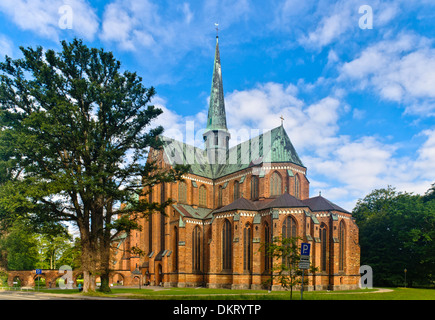 Doberan Münster, Bad Doberan, Mecklenburg-Vorpommern, Deutschland Stockfoto