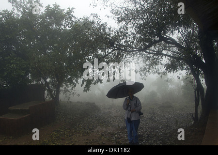 Waldlandschaft in Chorla Ghats, karnataka Stockfoto