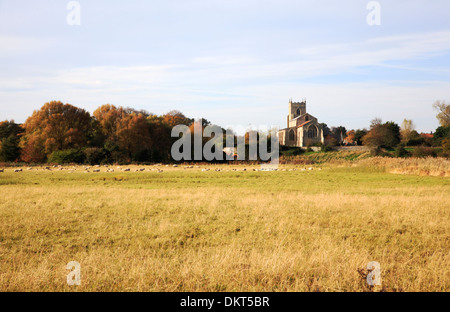 Eine ländliche Landschaft über die Auen des Flusses Glaven, Wiveton bei Cley next Sea, Norfolk, England, Vereinigtes Königreich. Stockfoto