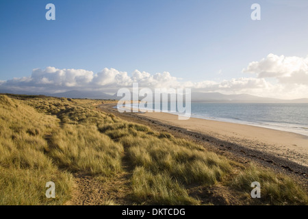 Newborough Anglesey North Wales UK Blick entlang der Sanddünen und der Bucht von Llanddwyn Beach in Richtung Snowdonia Eryri Mountain Range auf der Llyn Peninsula Stockfoto