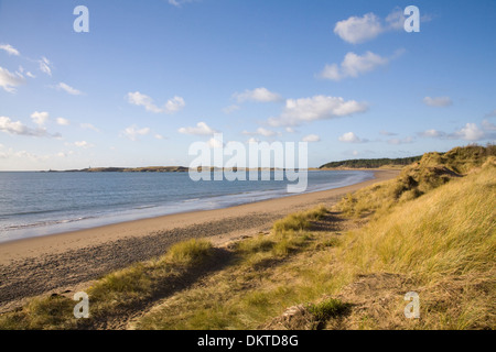 Newborough Wald Anglesey North Wales UK Blick entlang der Sanddünen von Llanddwyn Strand und Bucht in Richtung Llanddwyn Island Stockfoto