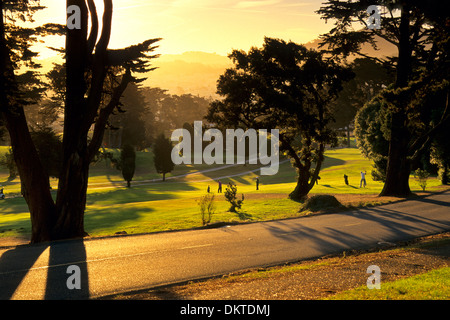 Sunrise Licht über Golfplatz im Lincoln Park, San Francisco, Kalifornien Stockfoto