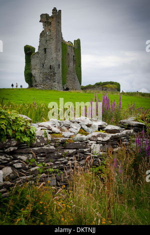 Ballycarbery Castle. Caherciveen. Ring of Kerry. County Kerry, Irland, Europa. Stockfoto