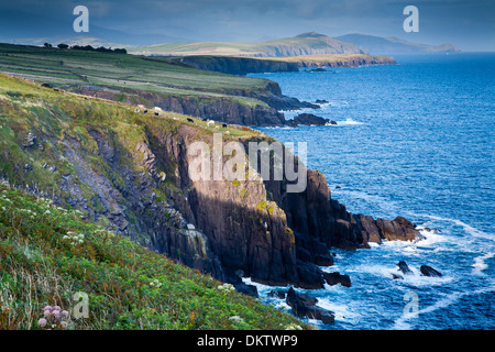 Klippen in einer Küstenlandschaft. Stockfoto