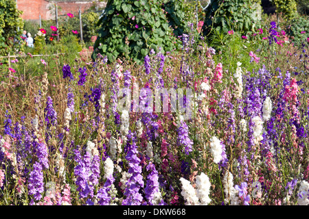 Der ummauerte Garten in Osborne House, East Cowes, Isle Of Wight. Ehemaliger Wohnsitz von Königin Victoria und Prinz Albert. Stockfoto