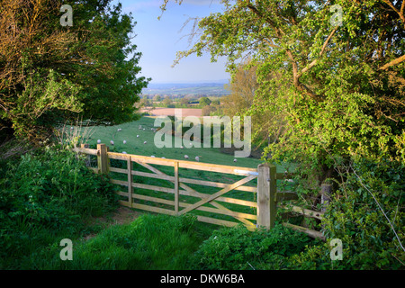 Blick über den Hof in Richtung ziemlich englische Landschaft, Cotswolds, England. Stockfoto