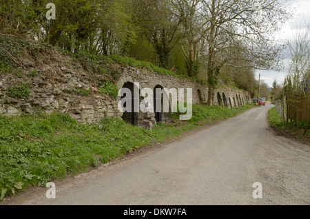 Alten Kalköfen in der Nähe von Brecon Canal auf der Website von der Kreuzung mit der Heu-Straßenbahn Stockfoto