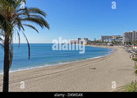 Europa Spanien ES Andalusien Benalmadena Costa Carretera Cadiz Palmen Bucht Strand Strandurlaub Bau Bau Bäume Stockfoto
