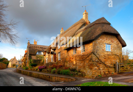 Cotwold reetgedeckte Landhaus aus Stein, Ebrington, Gloucestershire, England. Stockfoto