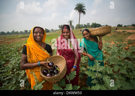 Bäuerin im Bundesstaat Bihar, Indien. Stockfoto