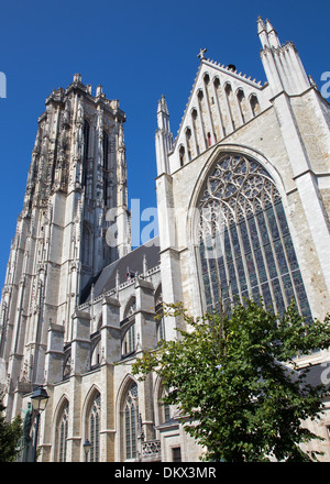 Mechelen - St. Rumbold Kathedrale aus Süden 4. September 2013 in Mechelen, Belgien. Stockfoto